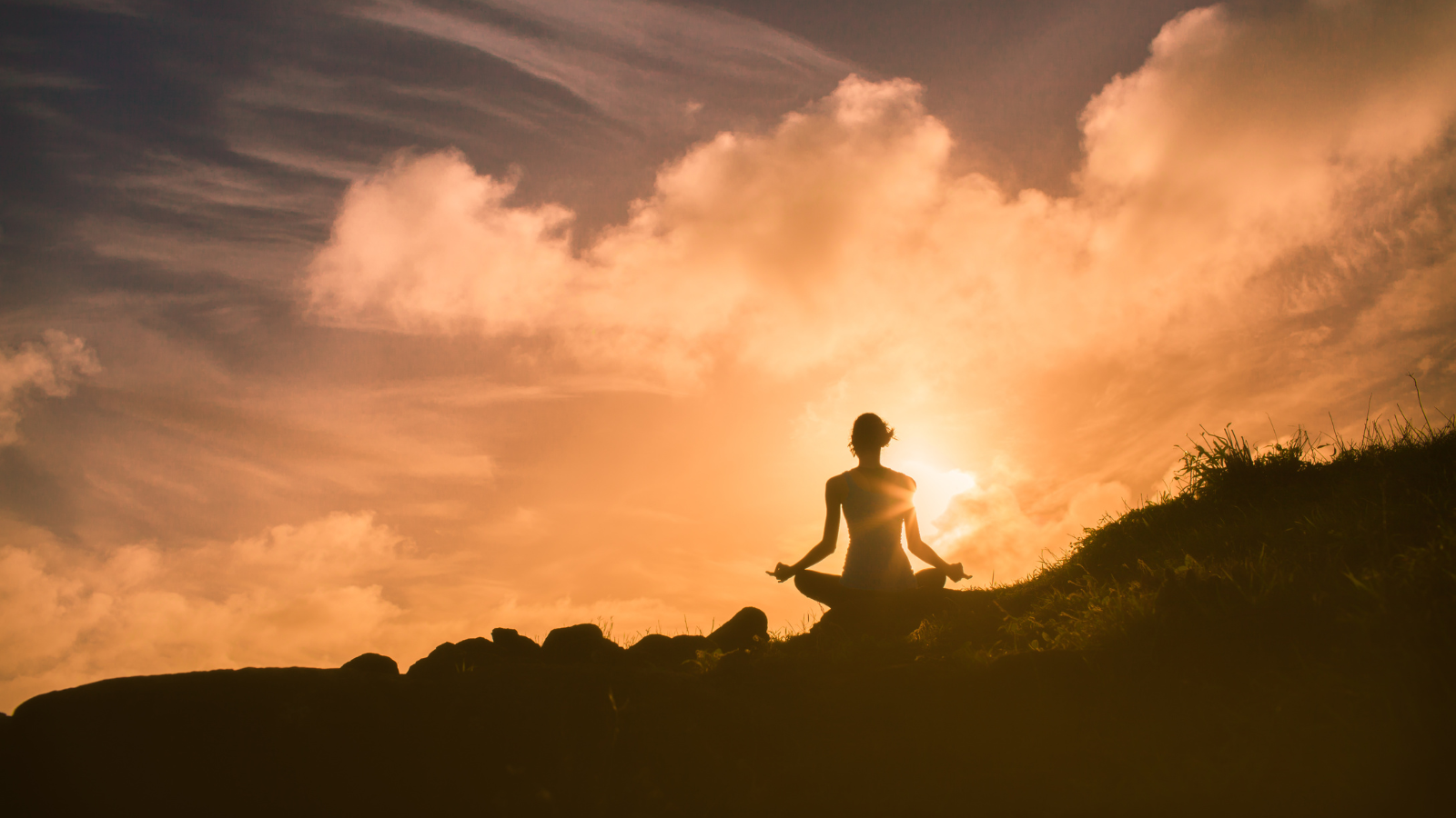 Transform: How Meditation Unleashes Joy & Boosts Happiness