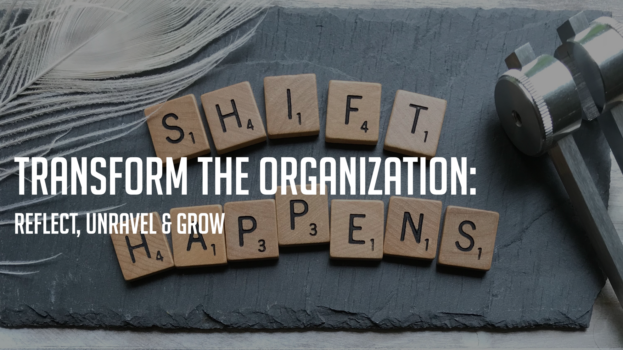Transform the Organization: Reflect, Unravel and Grow