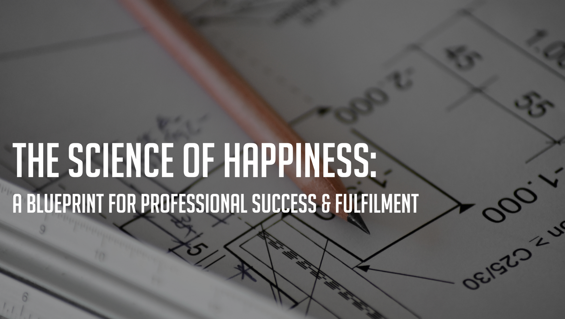 The Science of Happiness: A Blueprint for Professional Success and Fulfillment