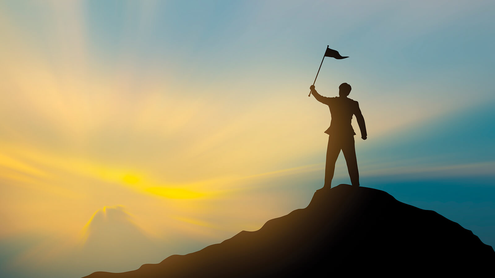 The CEO's Guide to Flourishing – Building a Program for Peak Organizational Performance