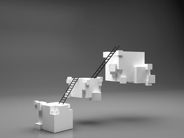 Growth and Development Architecture