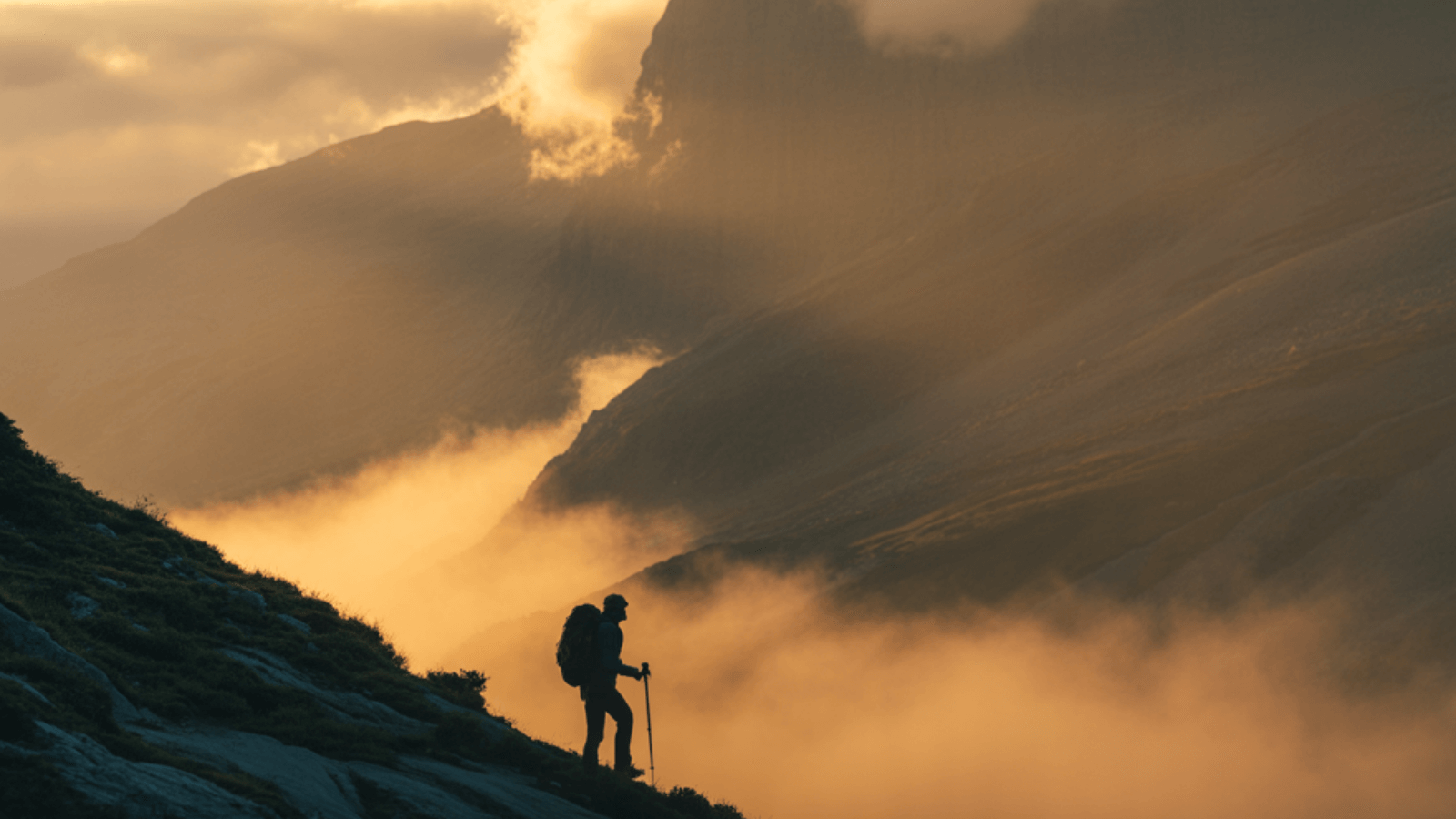 Stop Training for Failure: Why Every Founder Needs Mental Fitness as Much as Business Strategy