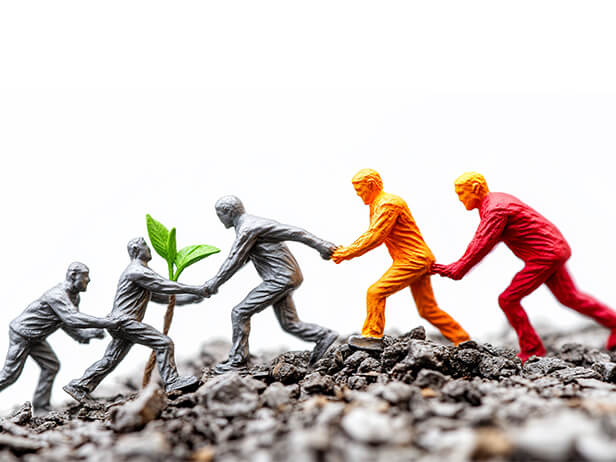 Nurturing Meaningful Relationships