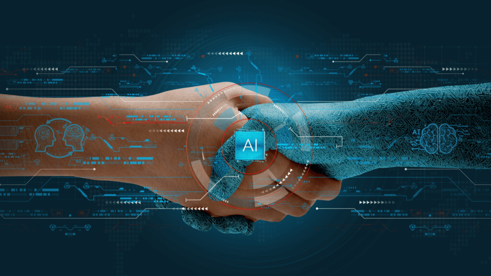 Better Every Day: What Zebra Technologies Taught Me About Building Cultures That Compound