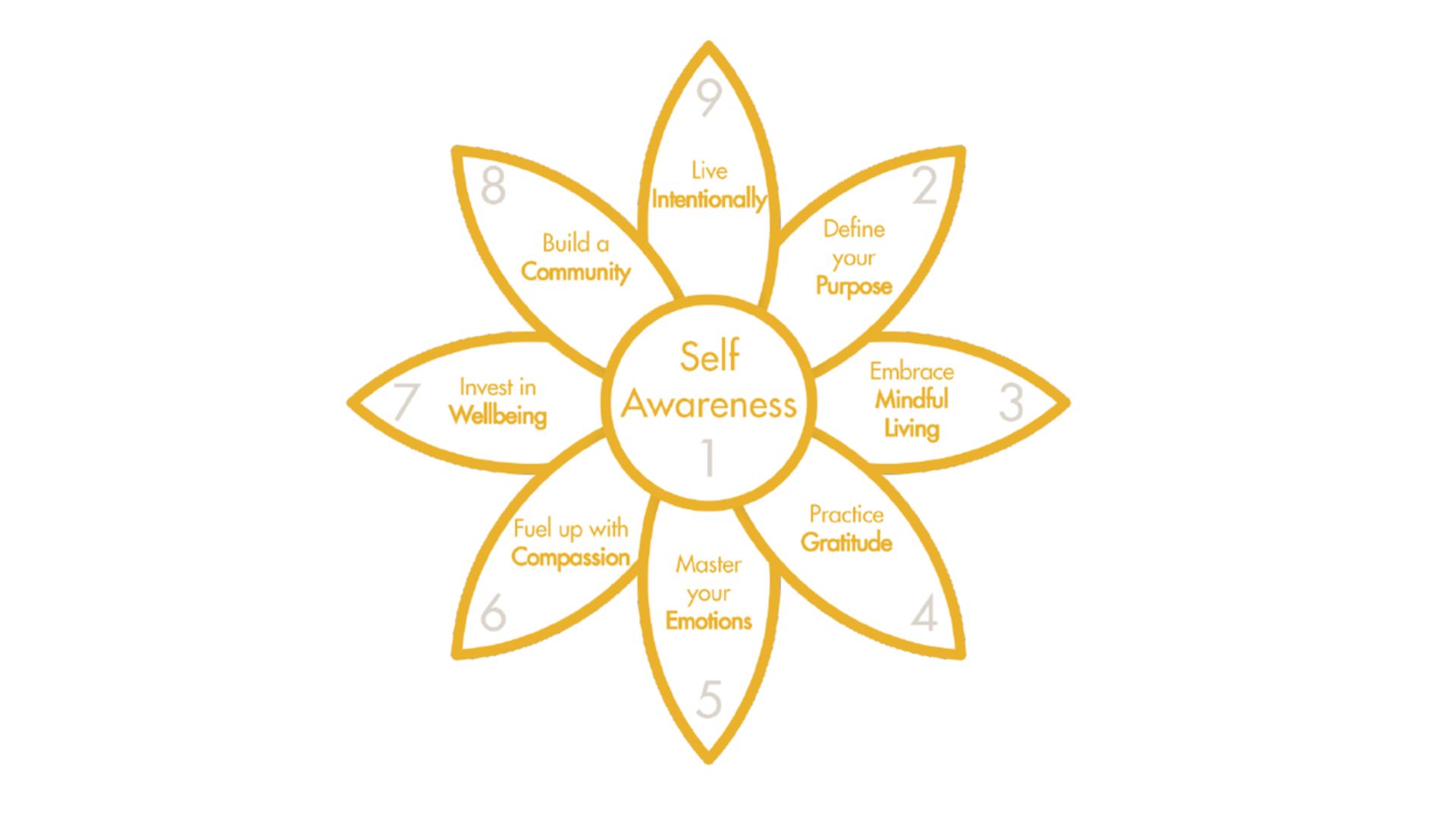 The Sunflower Model: rewiring the individual