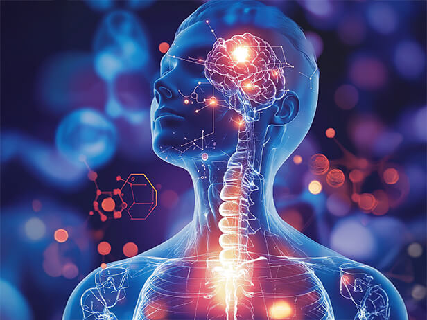 Nervous system regulation starts in the body
